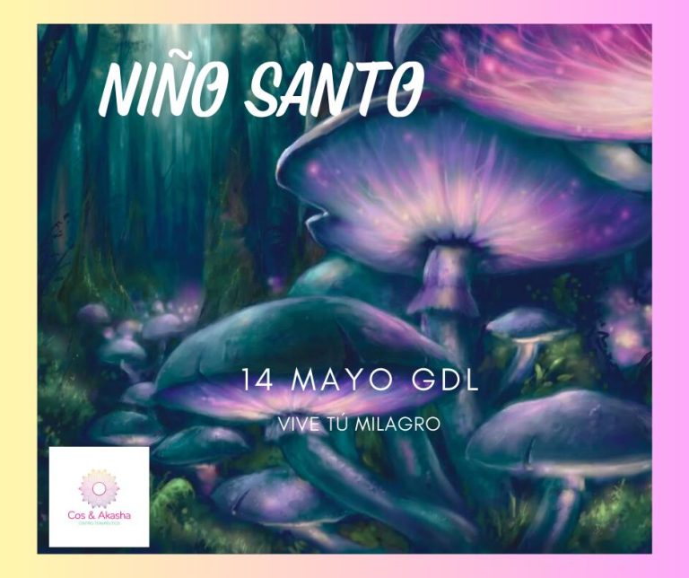 WhatsApp Image 2023-05-11 at 12.08.22 AM (1)