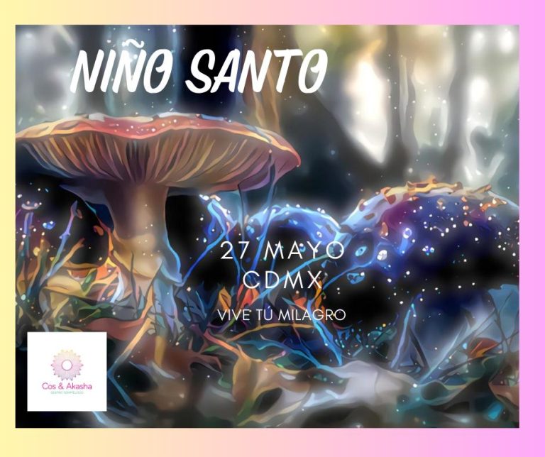 WhatsApp Image 2023-05-11 at 12.08.22 AM