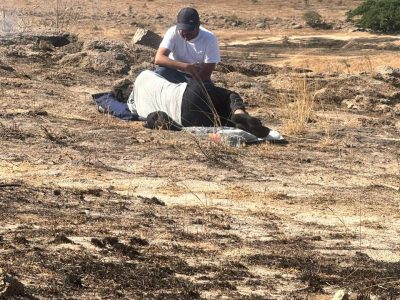 WhatsApp Image 2023-05-11 at 12.07.51 AM (1)