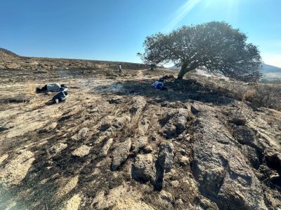 WhatsApp Image 2023-05-11 at 12.07.56 AM (1)